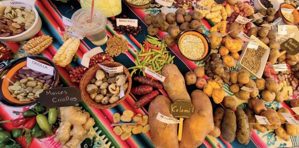 Gastronomia-de-Bolivia